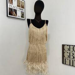 Fringed Sequined Feather Panel Dress
