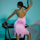 Women's Pink Tassel Latin Dress Dance Wear Training Performance Dress