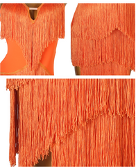Customisable-Women's Performance Sleeveless Tassels Latin Salsa Dance Dress Competition Dress