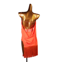 Customisable-Women's Rhinestone Tassel Rumba Latin Dance Dresses Performance Dresses