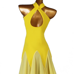 Customisable-Women's Sleeveless Modern Dance Performance Dress Ballroom Dance Dress