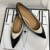 Two-Tone Pointed-Toe Low Heels