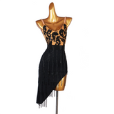 Customisable-Women's Sleeveless Performance Latin Dance Dress Dance Wear