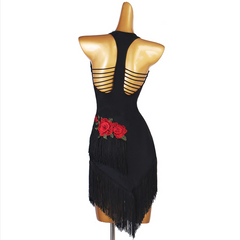Customisable-Women's Tassel Sleeveless Performance Latin Dance Dress Dance Wear