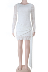 Jacquard Lace Round Neck Long Sleeve Long Sash Slim Fit Mini Dresses-White