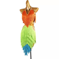 Customisable-Women's Tassel DanceWear Dance Dress Performance Wear