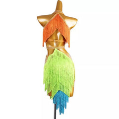 Customisable-Women's Tassel DanceWear Dance Dress Performance Wear