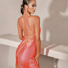 Women's Chinlon Patchwork Tassel Latin Dance Dress Dance Wear Training Performance Dress