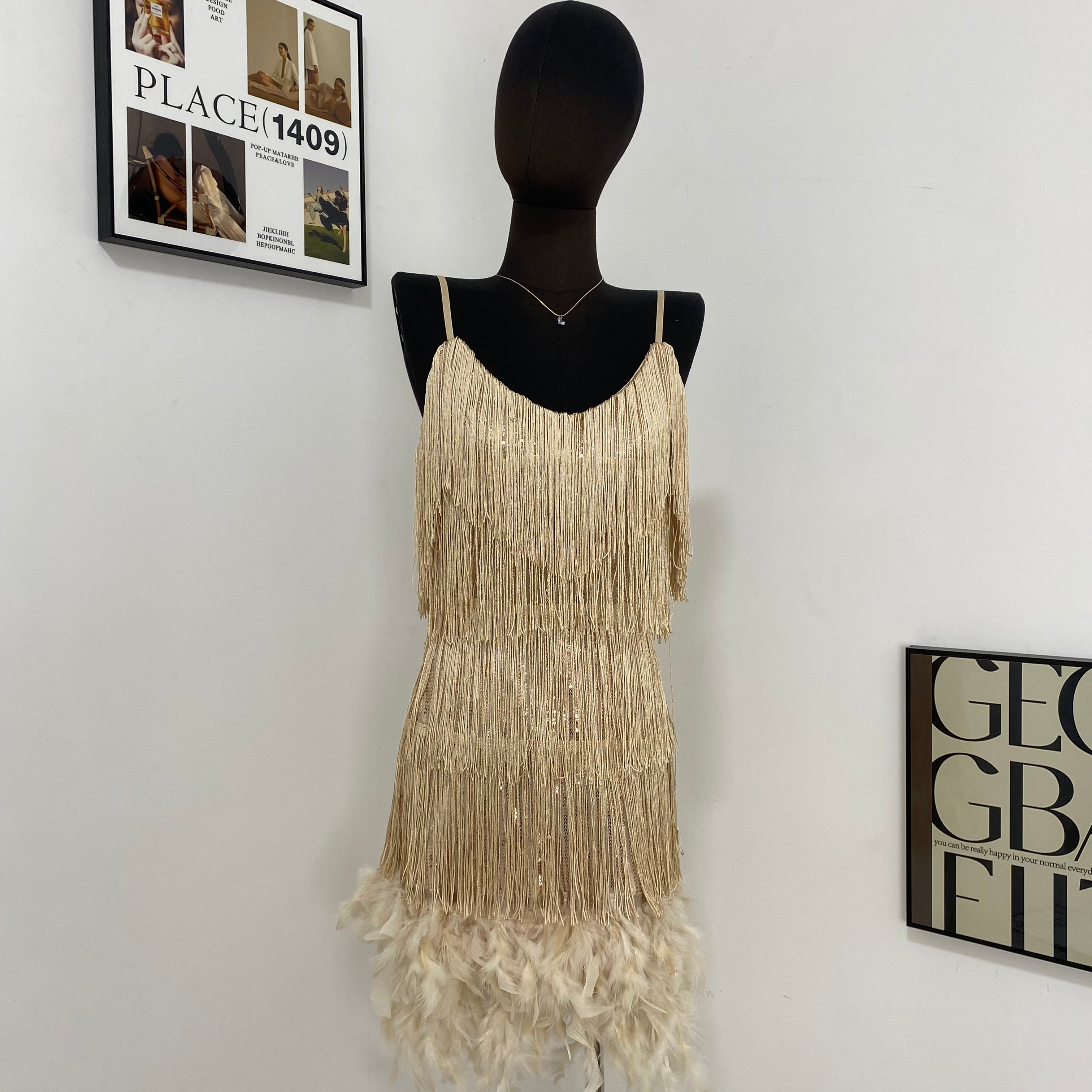 Fringed Sequined Feather Panel Dress