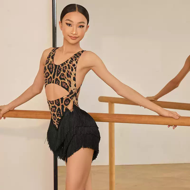 Girls Tassel Sleeveless Performance Dance Dresses Dancewear