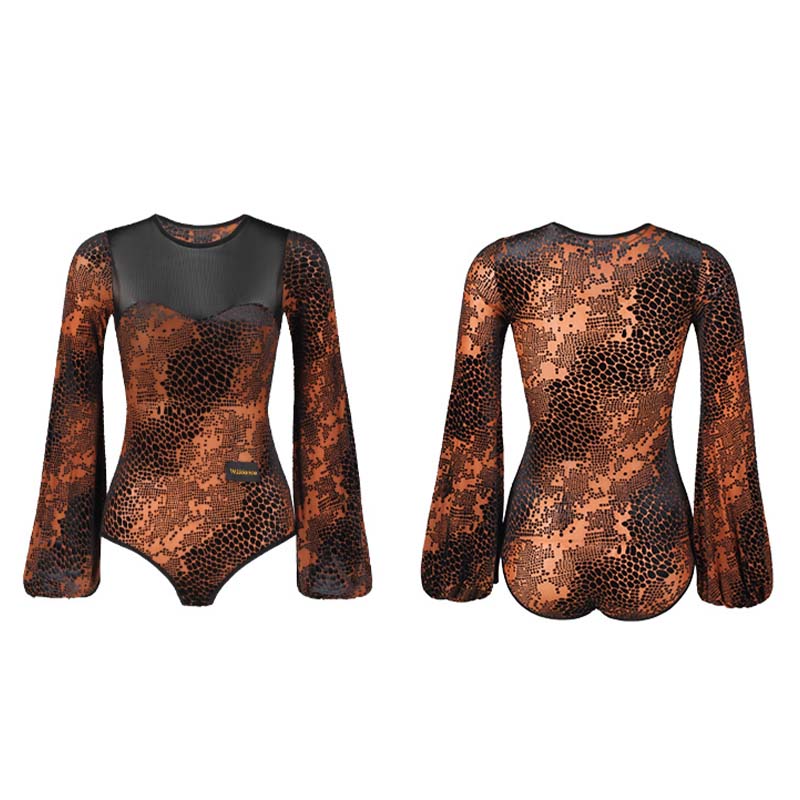 Women's Velvet Lantern Sleeve Modern Dance Tops Training Clothes Bodysuit