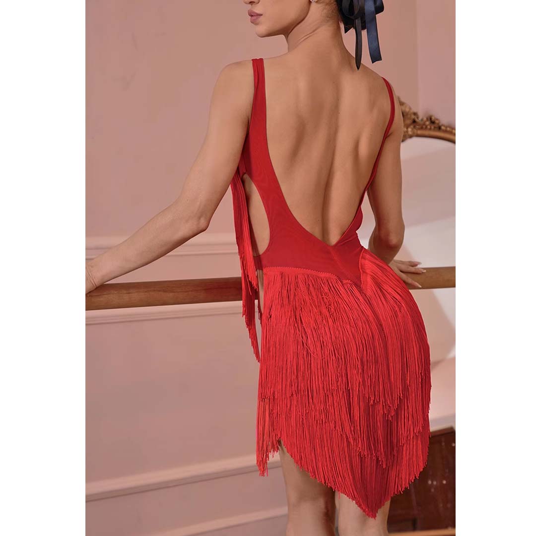 Women's Spaghetti Straps Tassel Dance Dress Dance Wear Training Performance Dress