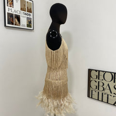 Fringed Sequined Feather Panel Dress