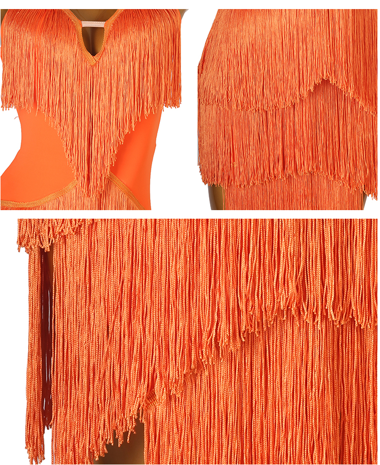 Customisable-Women's Performance Sleeveless Tassels Latin Salsa Dance Dress Competition Dress