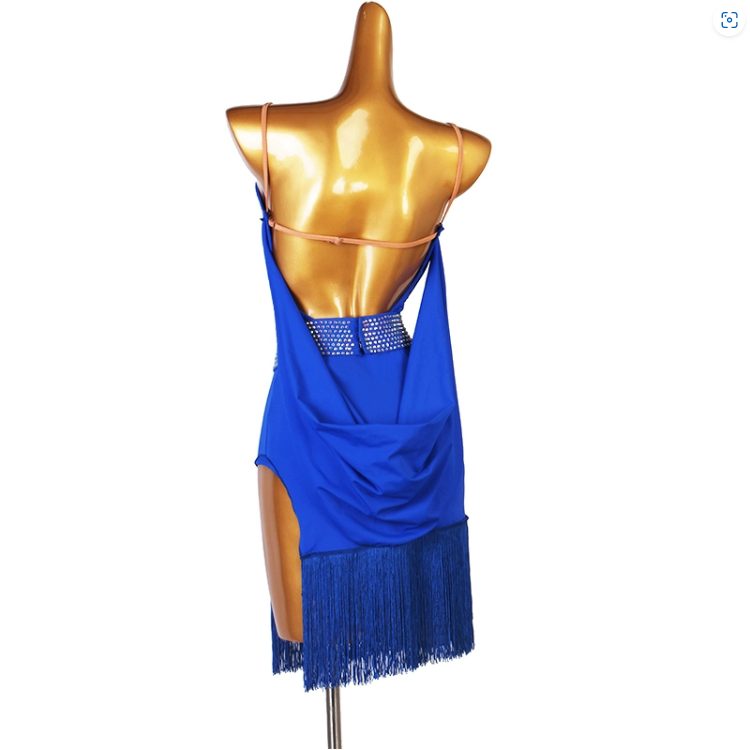 Customisable-Women's Rhinestone Tassel Rumba Latin Dance Dresses Performance Dresses