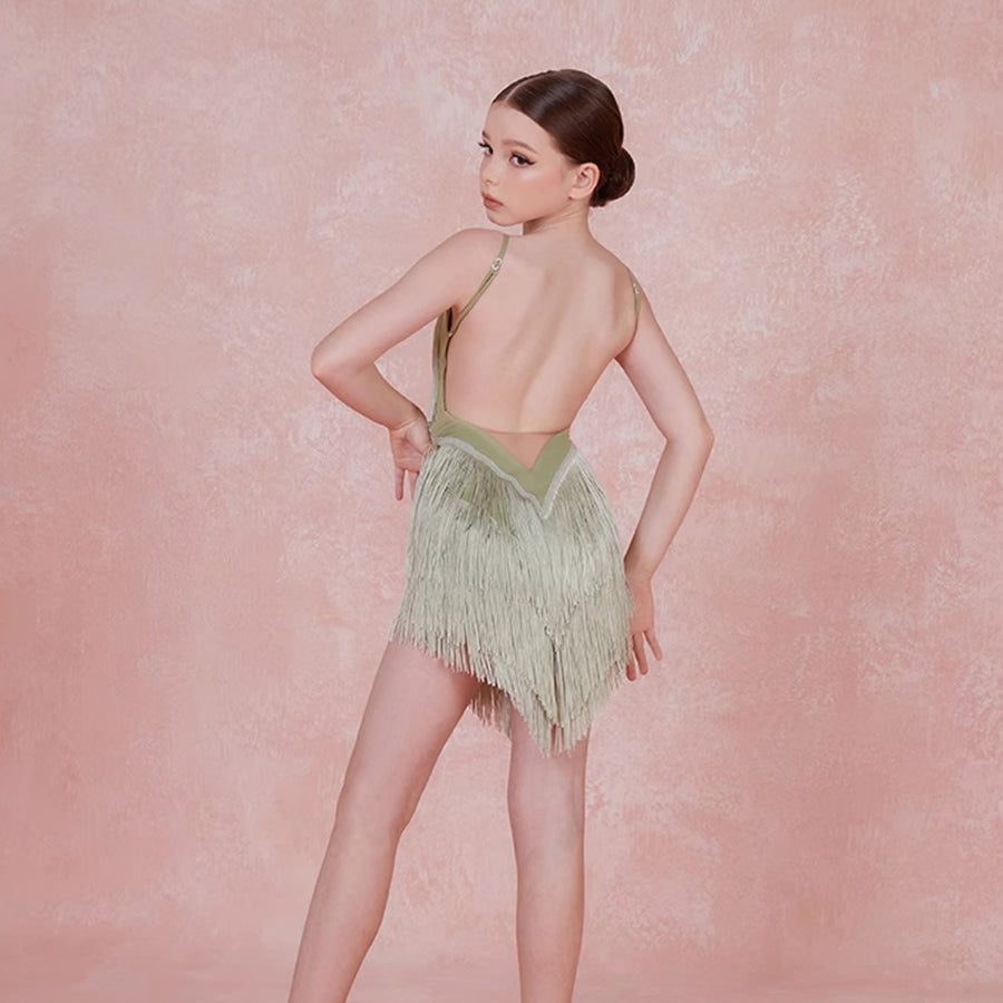 Girls Tassel Sleeveless V Neck Performance Dance Dresses Dancewear