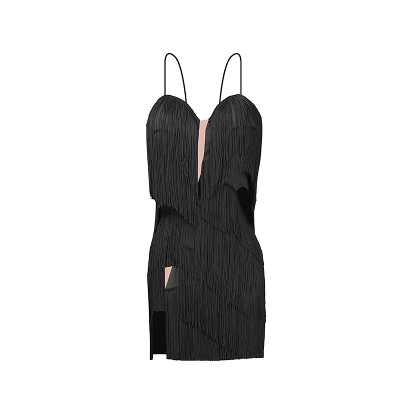 Women's Milk Silk Fabric Tassel Dance Dress Dance Wear Training Performance Dress