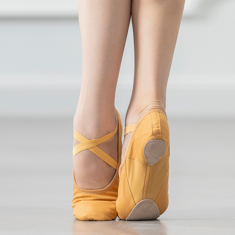 Women's Canvas Split-Sole Ballet Shoes