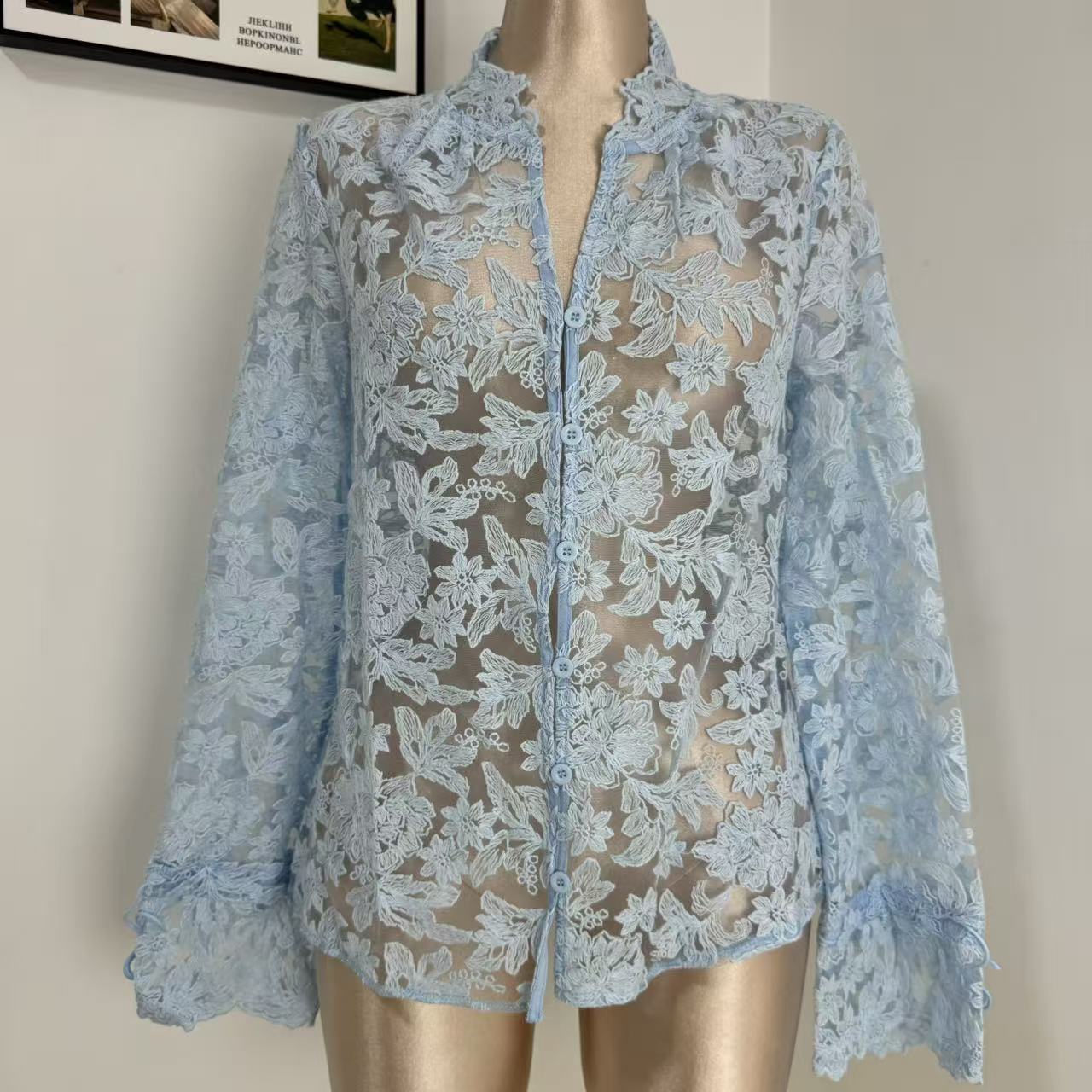 Openwork Casual Lace Shirt