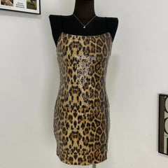 Leopard Print Street Sstyle Dress