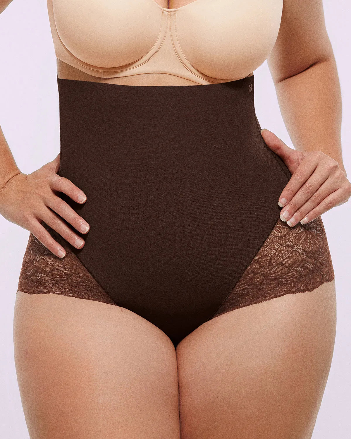 Bare Essentialsâ„?MeshSmoothâ„?High-Waisted  Sheer Lace Brief