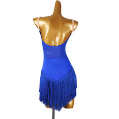 Customisable-Women's Tassel DanceWear Dance Dress Performance Wear