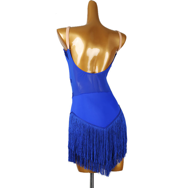 Customisable-Women's Tassel DanceWear Dance Dress Performance Wear