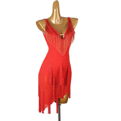 Customisable-Women's Red Tassel DanceWear Dance Dress Performance Wear
