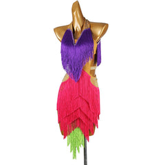 Customisable-Women's Tassel DanceWear Dance Dress Performance Wear
