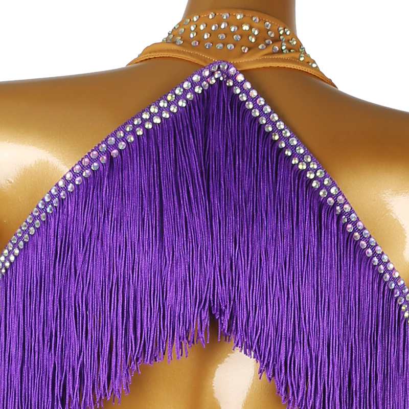 Customisable-Women's Tassel DanceWear Dance Dress Performance Wear