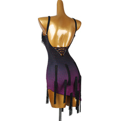 Customisable-Women's Purple Tassel DanceWear Dance Dress Performance Wear