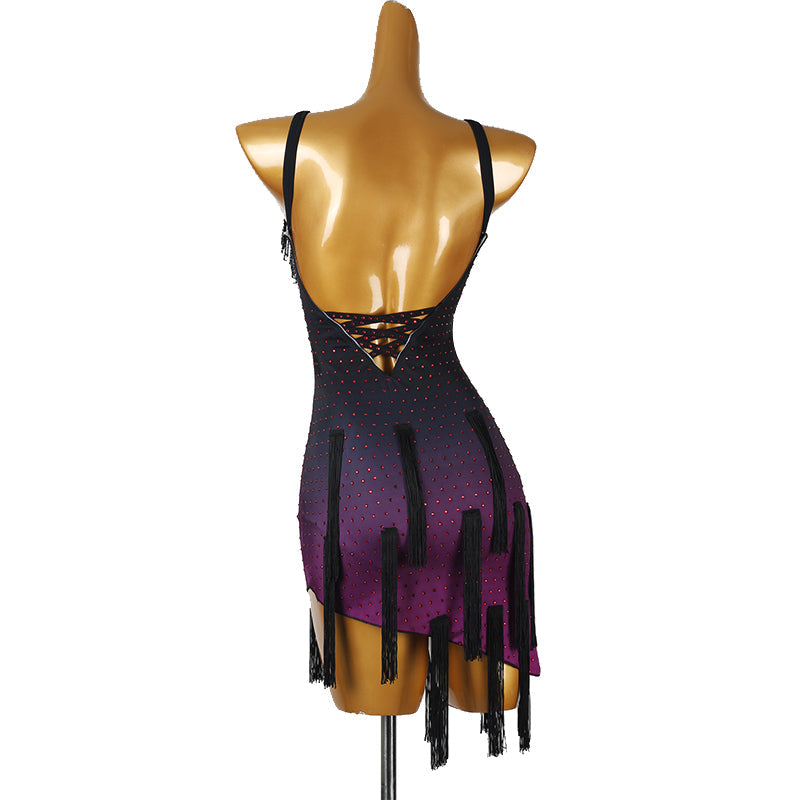 Customisable-Women's Purple Tassel DanceWear Dance Dress Performance Wear