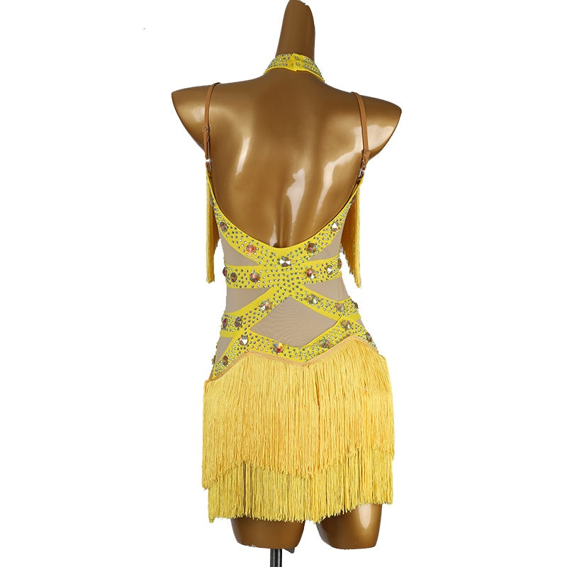Customisable-Women's Tassel DanceWear Dance Dress Performance Wear