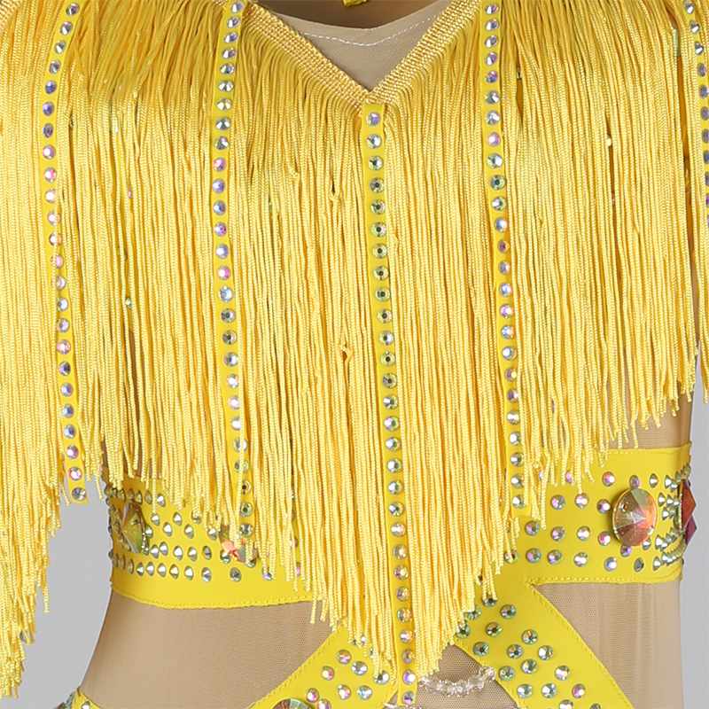 Customisable-Women's Tassel DanceWear Dance Dress Performance Wear