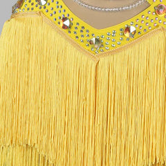 Customisable-Women's Tassel DanceWear Dance Dress Performance Wear
