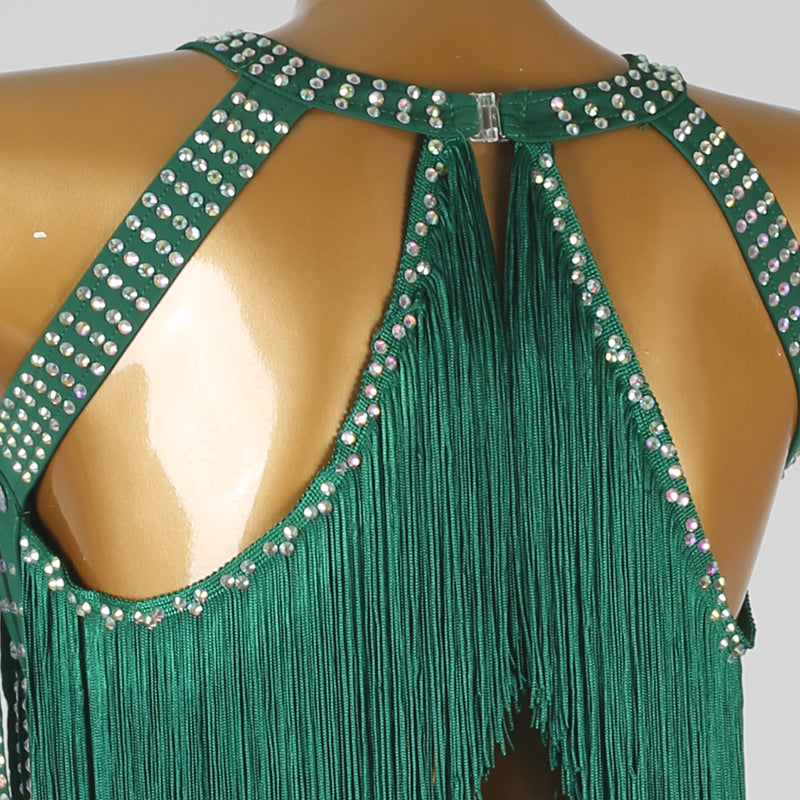 Customisable-Women's Tassel DanceWear Dance Dress Performance Wear