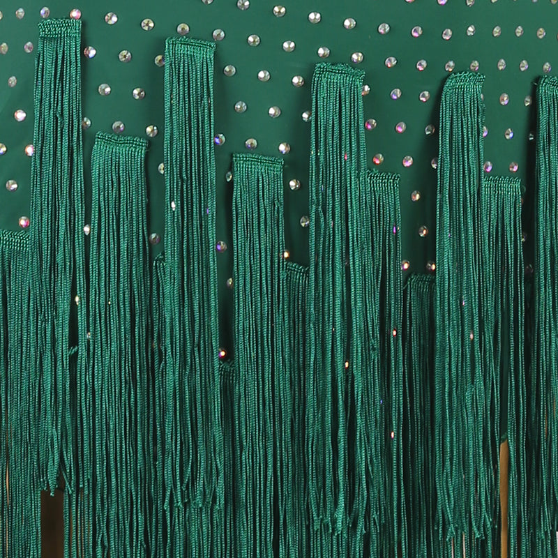 Customisable-Women's Tassel DanceWear Dance Dress Performance Wear