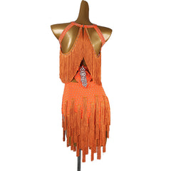 Customisable-Women's Tassel DanceWear Dance Dress Performance Wear