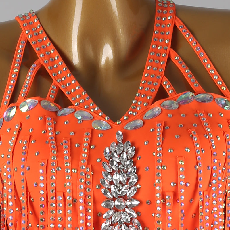 Customisable-Women's Tassel DanceWear Dance Dress Performance Wear