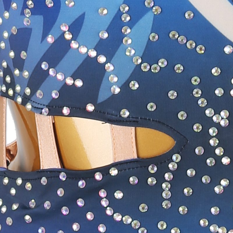 Customisable-Women's Performance Royal Blue Sleeveless Tassels Latin Salsa Dance Dress Competition Dress