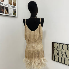 Fringed Sequined Feather Panel Dress