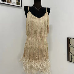 Fringed Sequined Feather Panel Dress