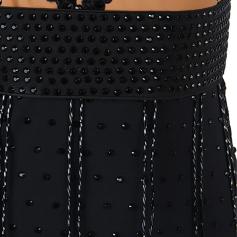 Customisable-Women's Sleeveless Performance Latin Dance Dress Dance Wear